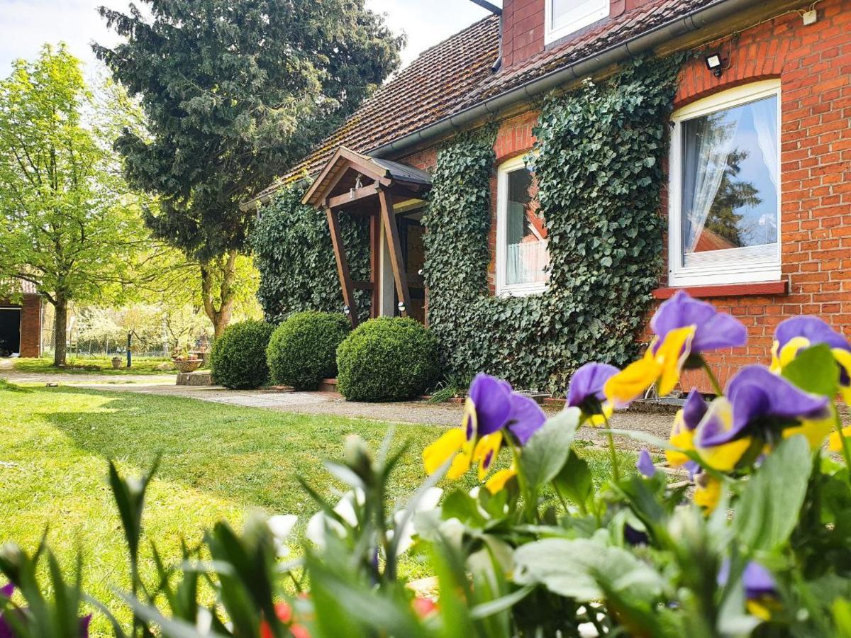 Am Alten Haus Altenmedingen Exterior photo